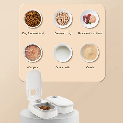 PawWell 2-in-1 Gravity Pet Feeder &amp; Water Dispenser