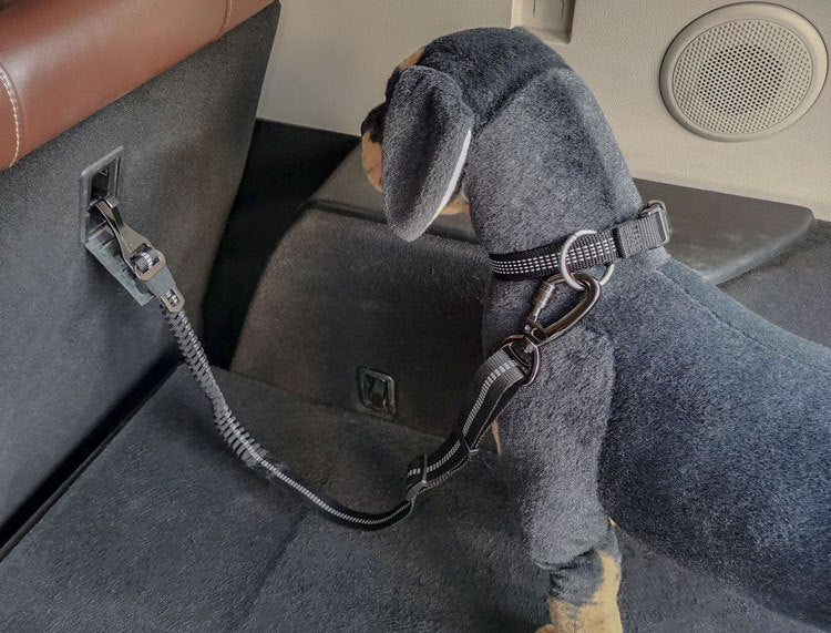 Dog wearing car seat belt tether in vehicle