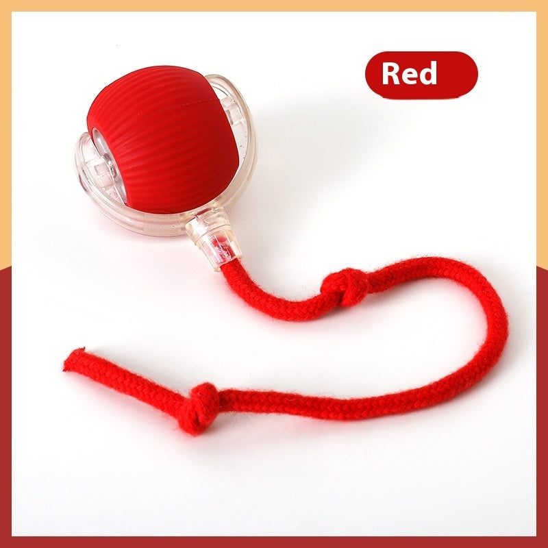 Rolling ball toy keeps cats active and entertained