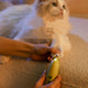 PawWell Quiet Dog & Cat Nail Grinder