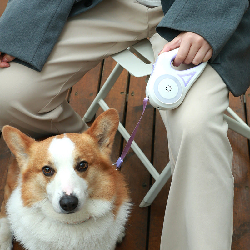 Retractable dog leash with LED light - night visibility
