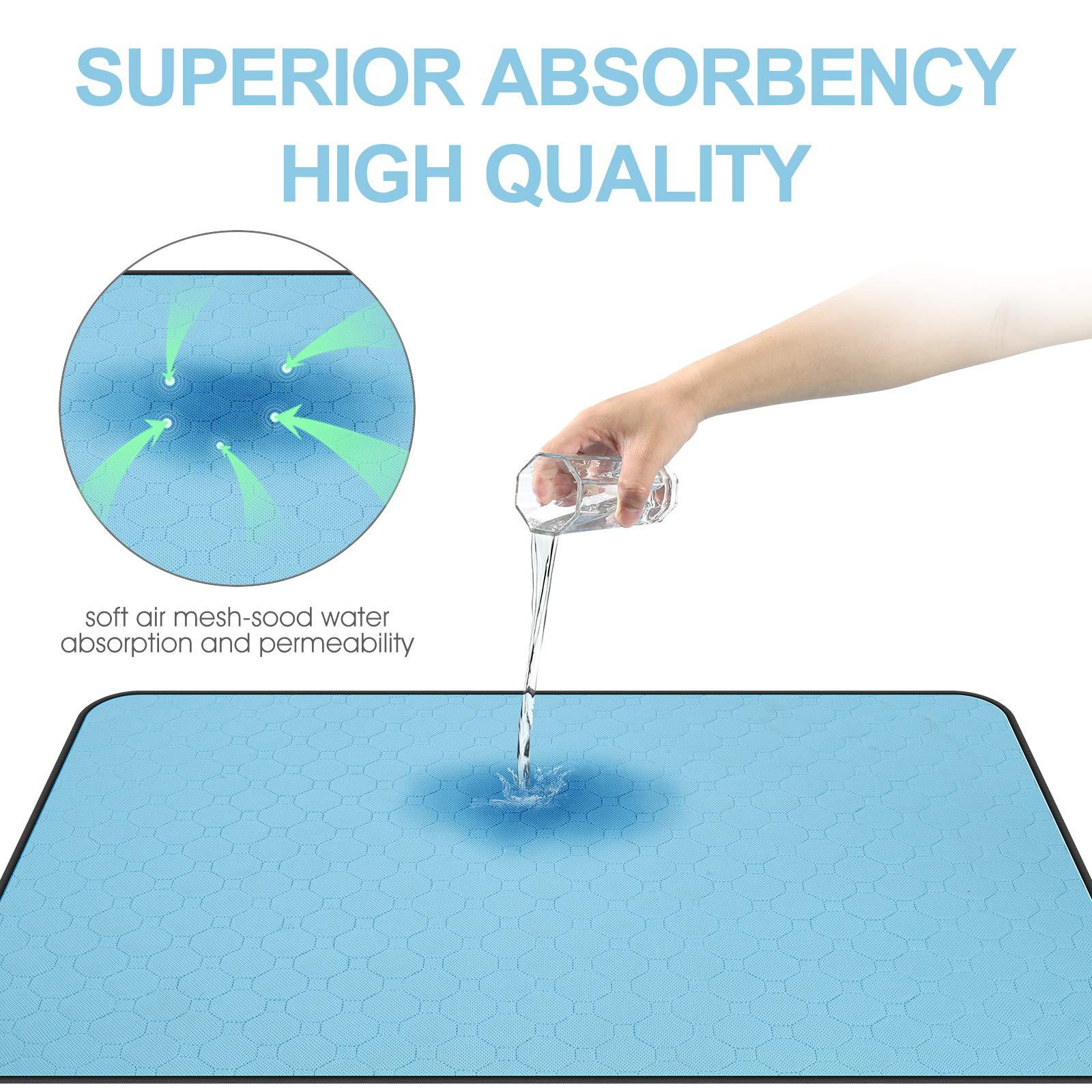 Dog on washable training pad - usage example