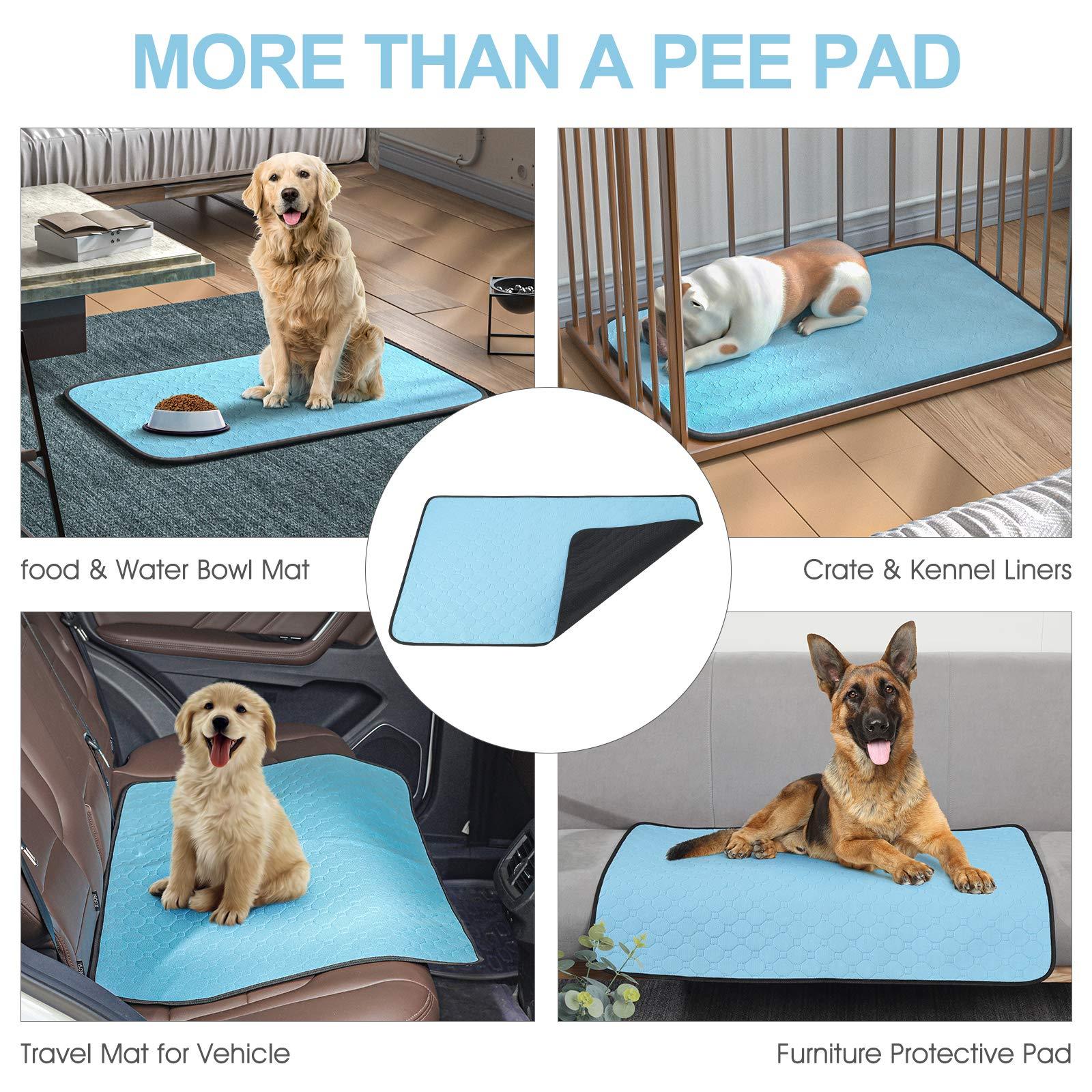 Washable training pads for puppies and senior pets