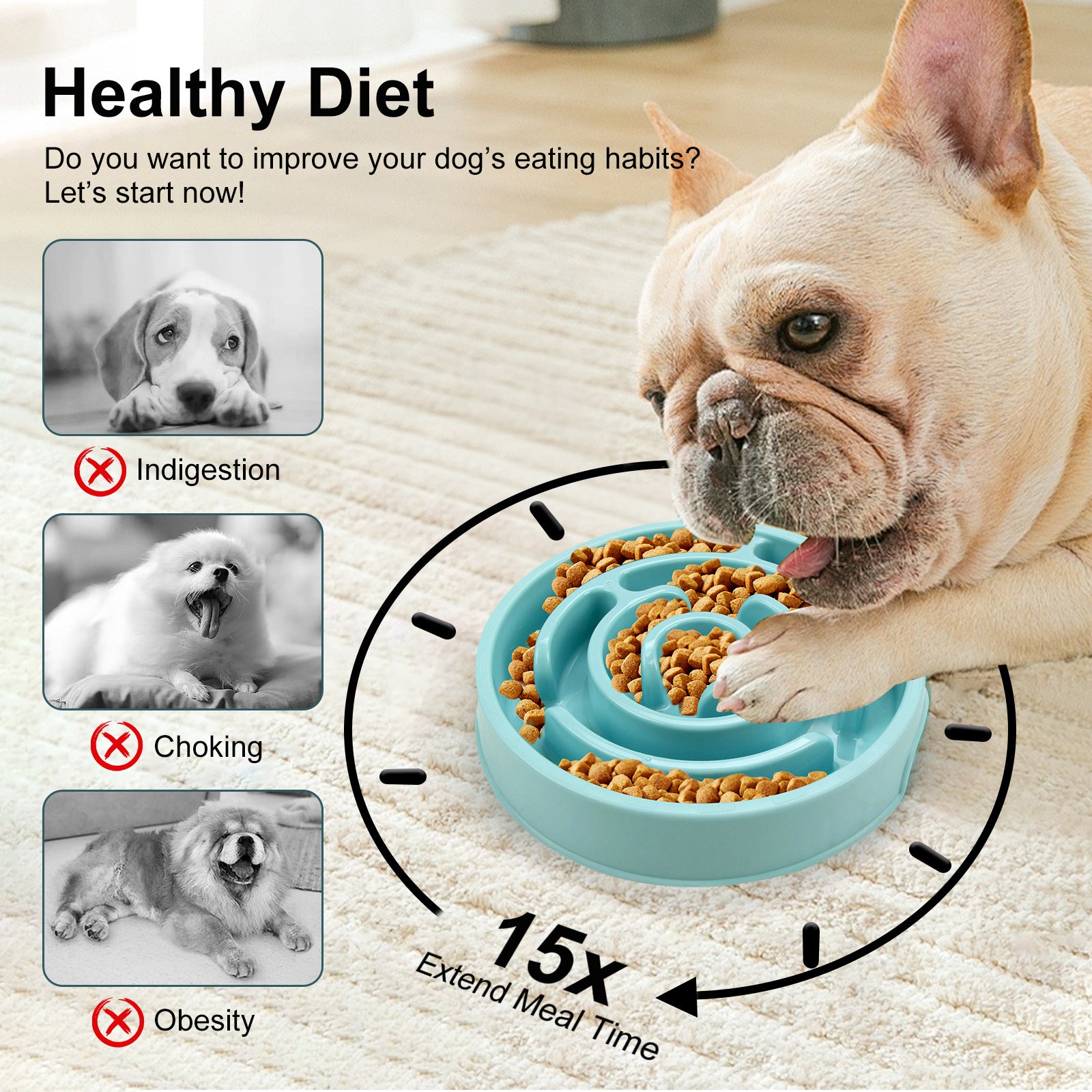Slow feeder dog bowl - non-slip base detail