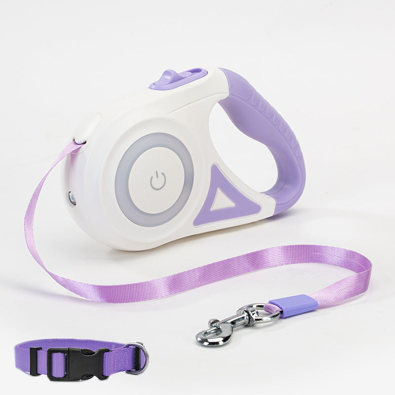 Dog walking at night with LED safety leash