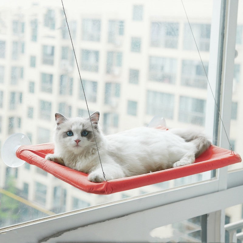 Cat relaxing on window hammock perch