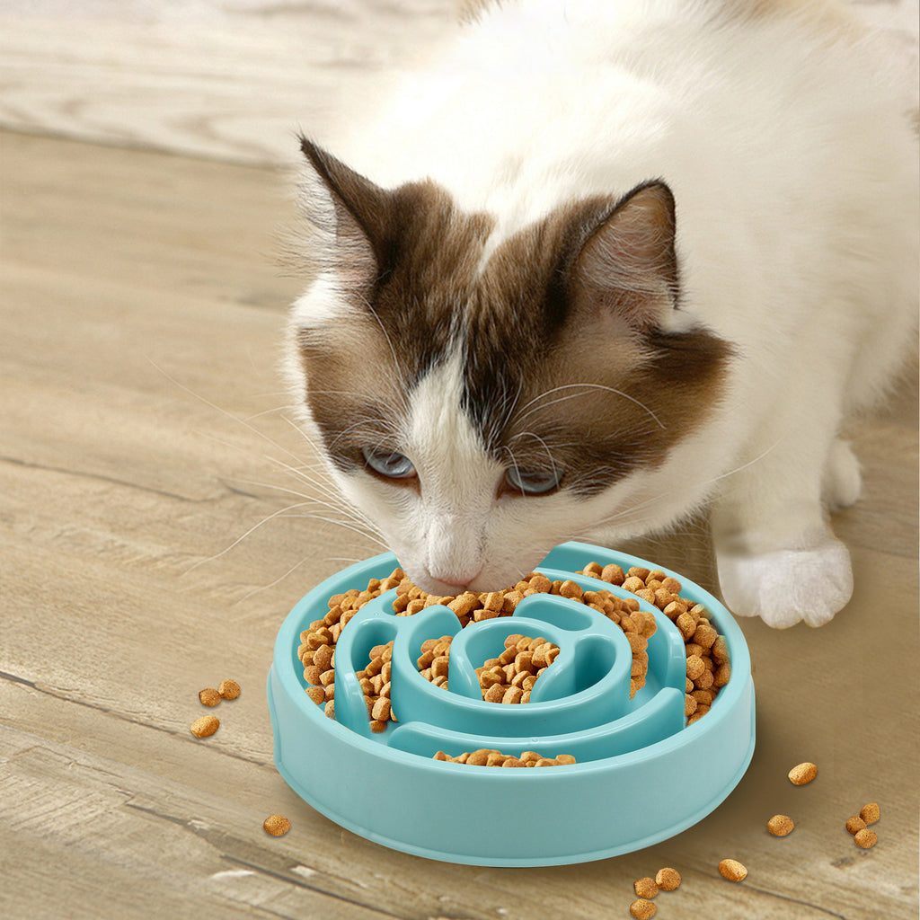 Anti-choke slow feeder bowl for dogs - product view