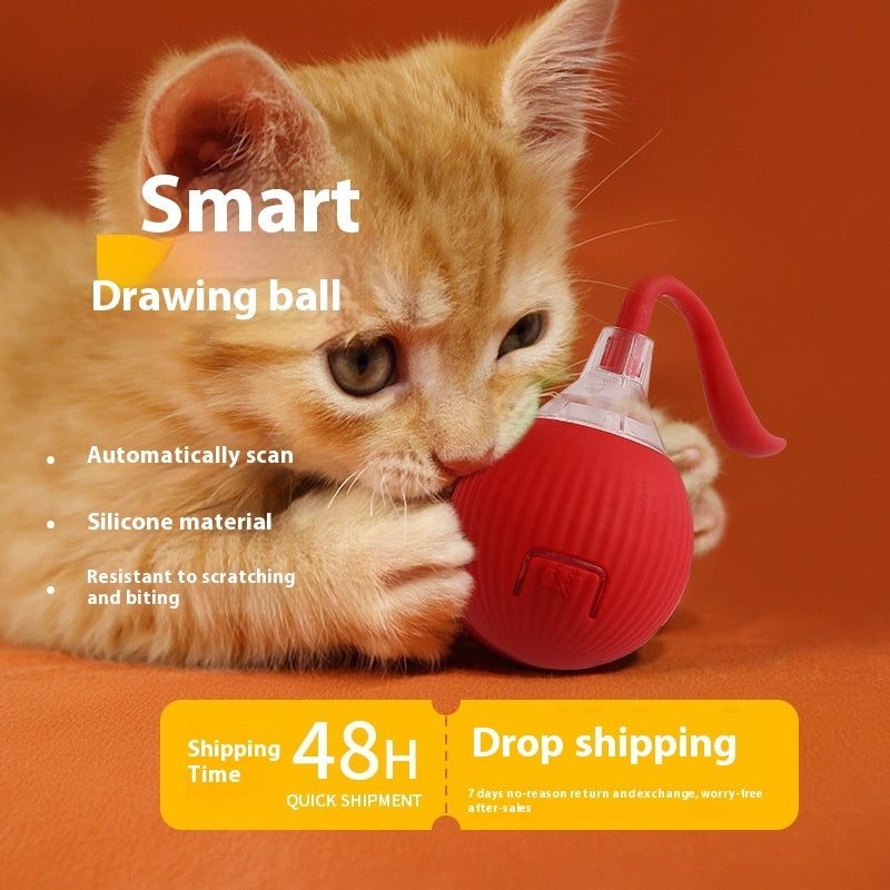 Cat playing with smart interactive rolling ball