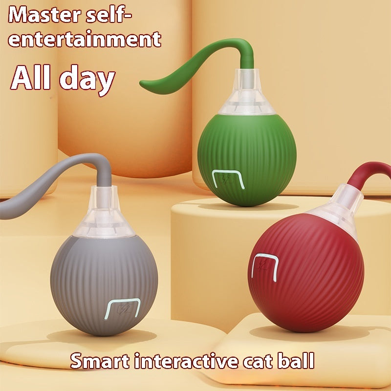 PawWell interactive cat ball - product view