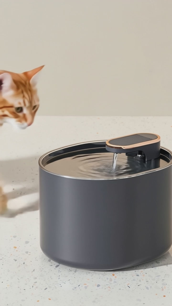 PawWell cat water fountain in action